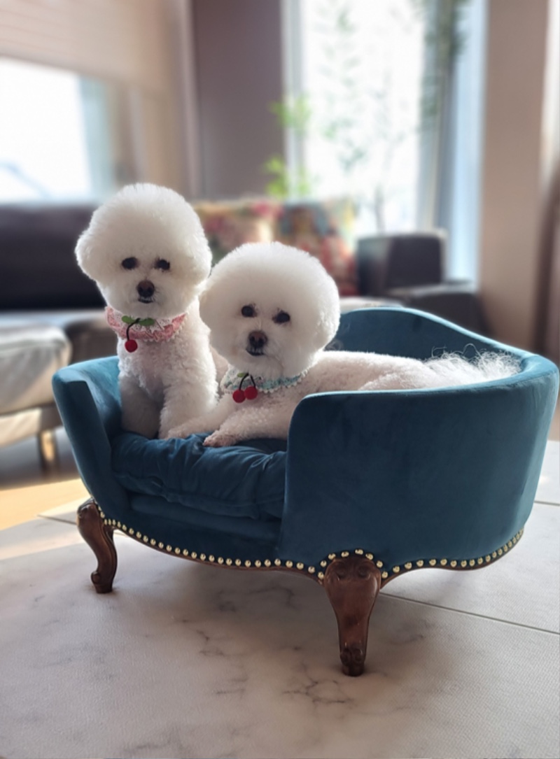 1french matilda.jpeg