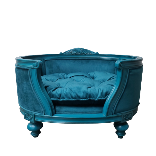 하즈펫 맨디니블루베드